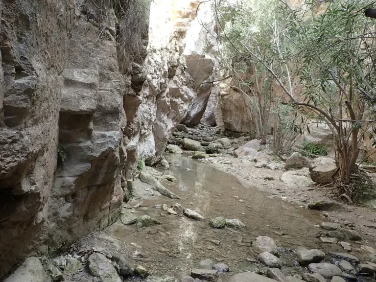 Steep rock walls in Avakas Gorge