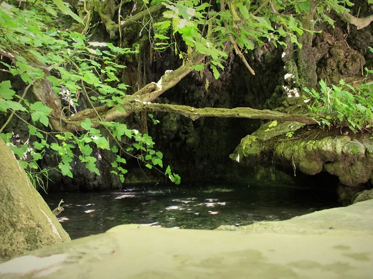 Grotto and spring-fed pool at the Baths of Aphrodite on the Akamas peninsula