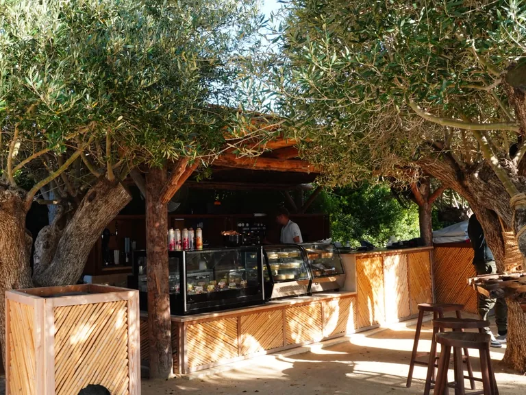 Wooden beach bar with cake display under olive trees at Olive Tree Beach in Peyia